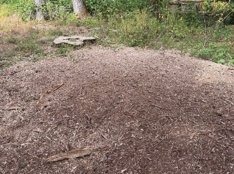 Same area ground flat and mulched clean after stump grinding