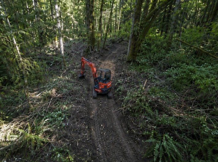 Trails, roads and property access cleared through Northwest timber