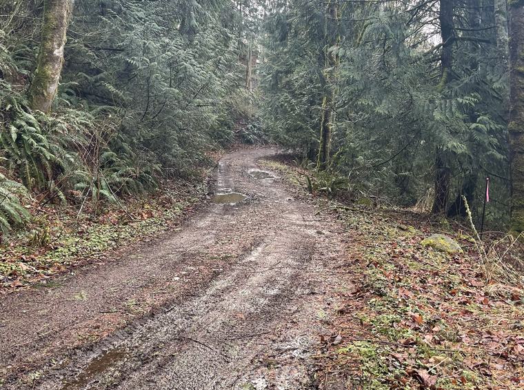 Muddy rutted gravel road with potholes and standing water before repair