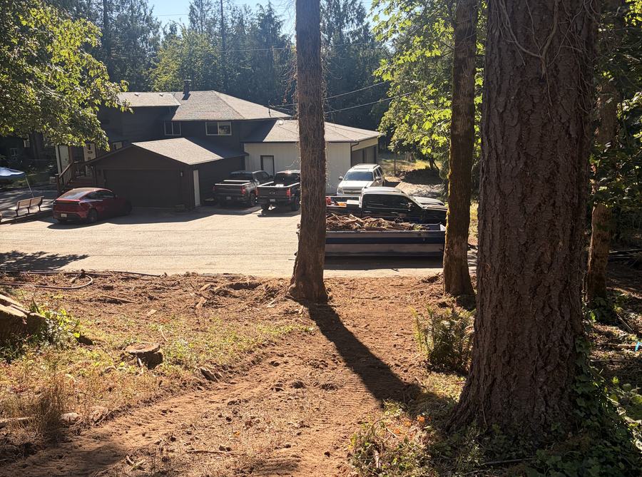 Property with understory cleared and mature trees left standing