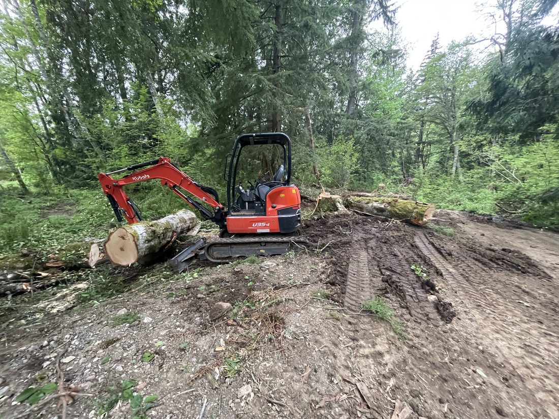 Land clearing and property cleanup with excavator in King County WA